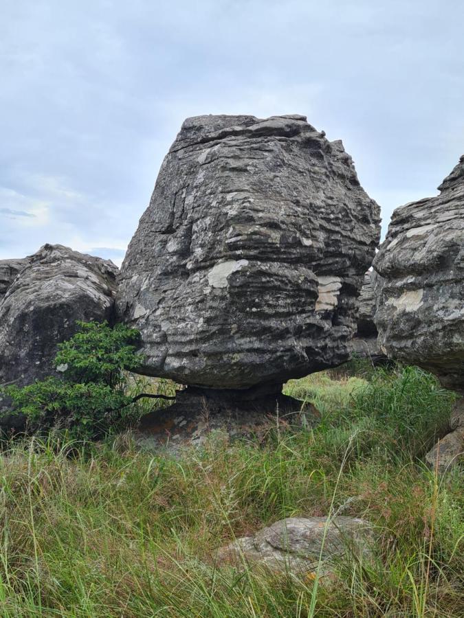 Coddiwomple Cottage Kaapsehoop 外观 照片